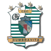 ACS_Dumbravita_logo.png