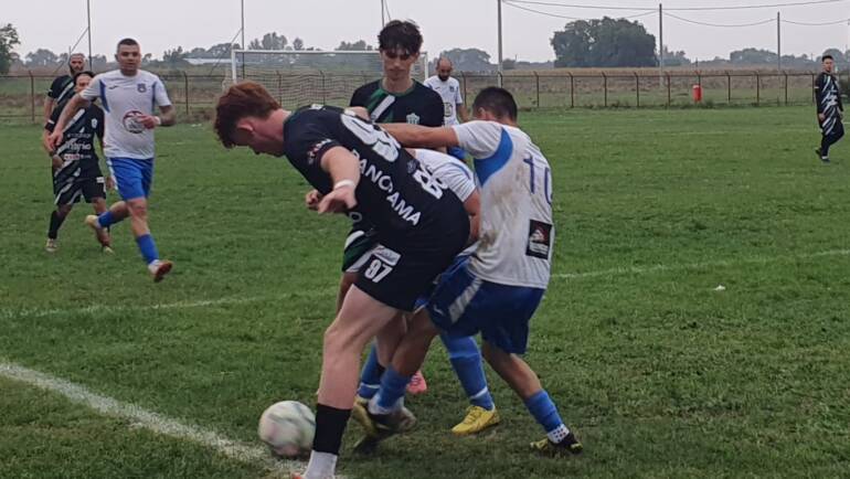 Cronica. Calificare fara probleme